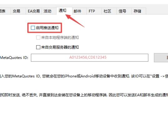 XM MT5上怎么样启用推送通知?