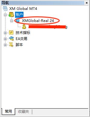 XM出入金官网：账户服务器怎么查看？