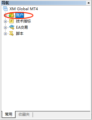 XM出入金官网：怎么给账户设置只读密码？