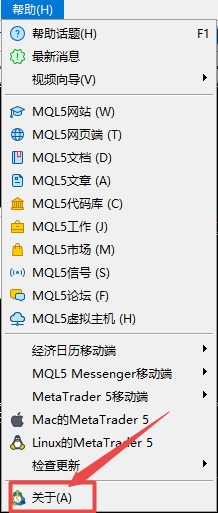 XM MT5上版本怎么查看?