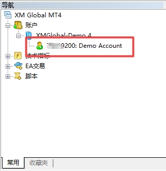 XM MT4上如何租赁服务器?